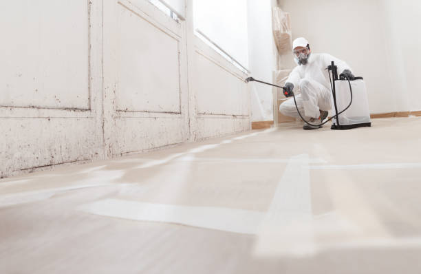24/7 Emergency Mold Cleanup experts in Hampton, MD