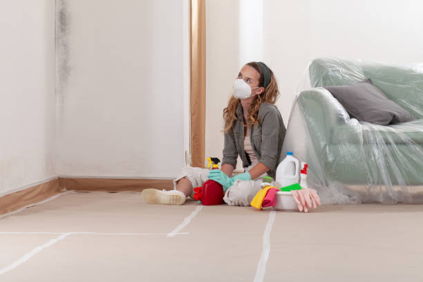 Reliable Mold Cleanup contractor in Hampton, MD by WQB Mold Removal
